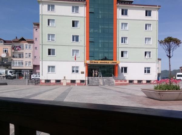 Çaybaşı Şehit Çetin Ak Anadolu Lisesi Fotoğrafı